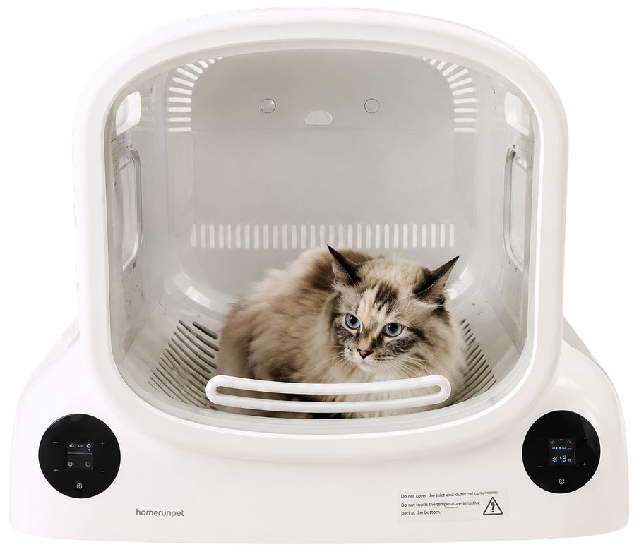toelettatura gatti verona aura pet